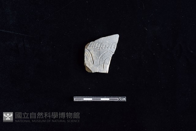 陶片藏品圖，第1張