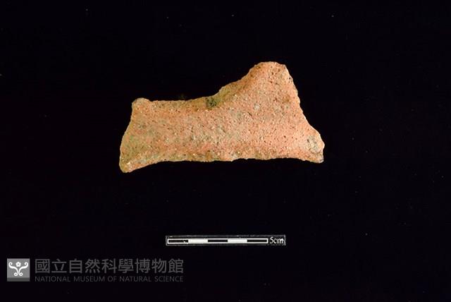 陶罐藏品圖，第1張