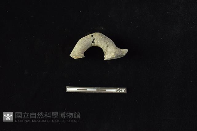 陶把藏品圖，第1張