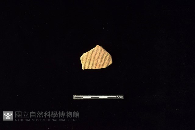 陶片藏品圖，第1張