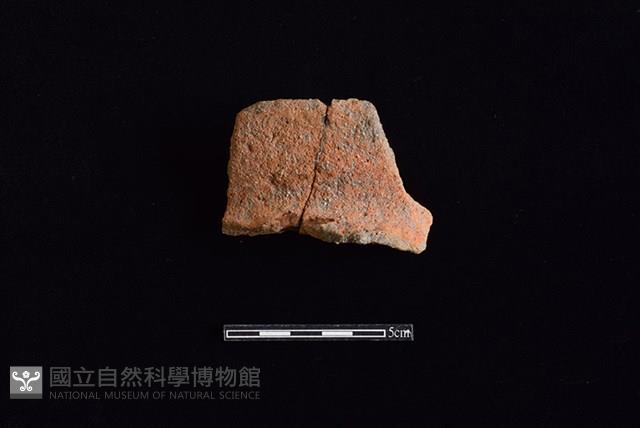 陶罐藏品圖，第1張