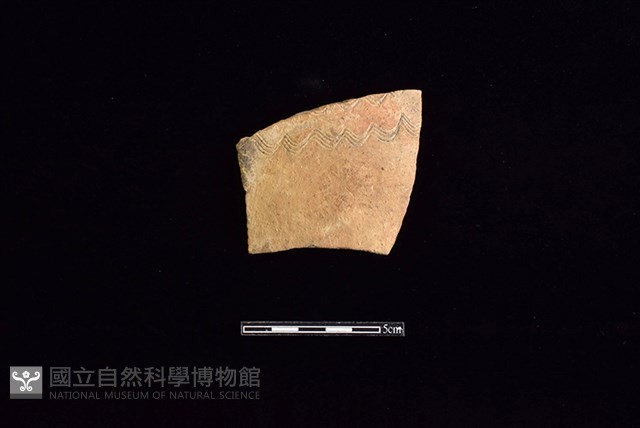 陶片藏品圖，第1張