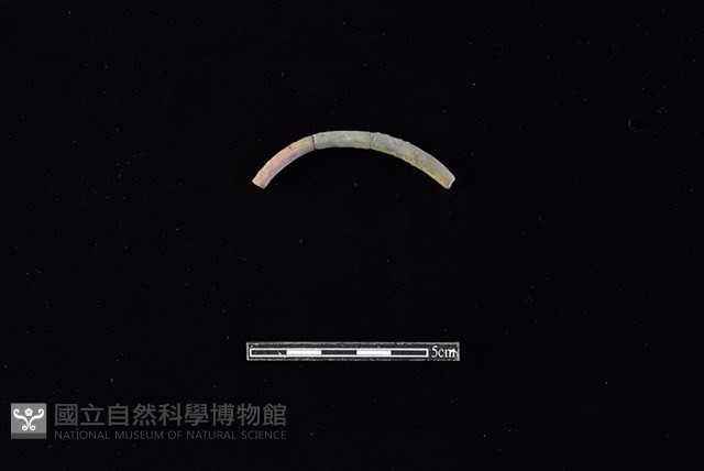 陶環藏品圖，第1張