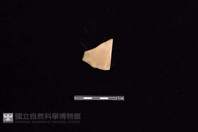 陶片藏品圖，第1張