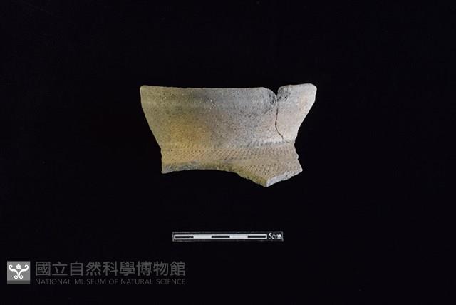 陶罐藏品圖，第1張