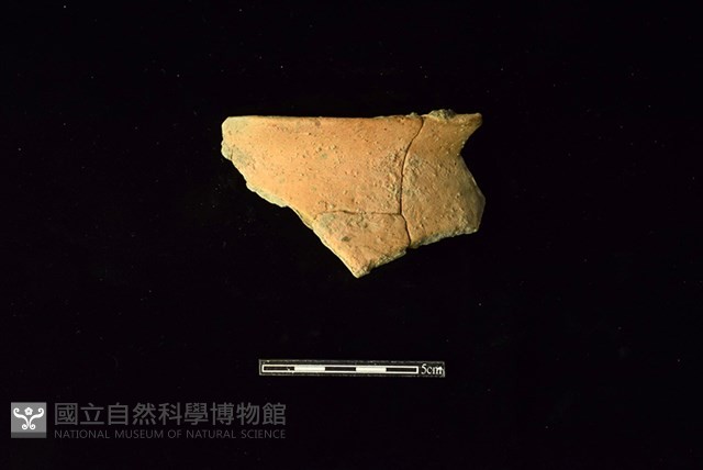 陶罐藏品圖，第1張