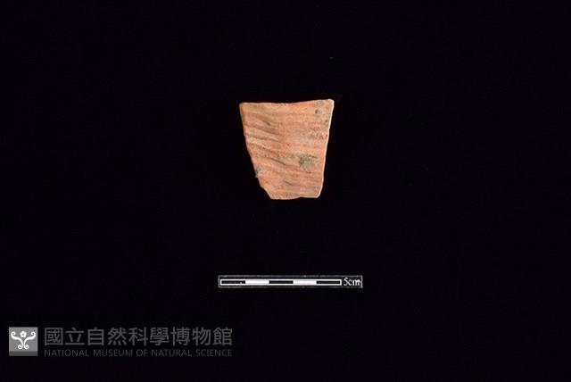 陶片藏品圖，第1張