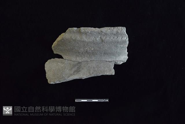 陶罐藏品圖，第1張