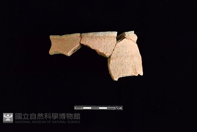 陶片藏品圖，第1張