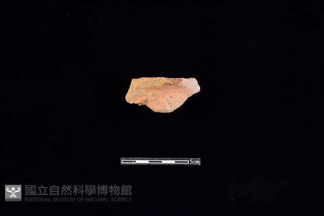 陶片藏品圖，第1張