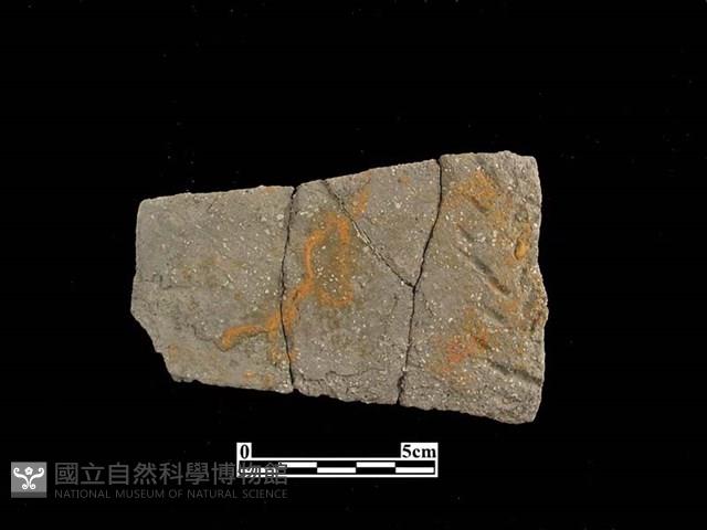 陶片藏品圖，第1張