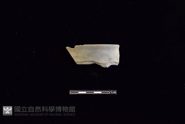 Accession Number:HLL-D PT3034 Collection Image, Figure 1, Total 2 Figures