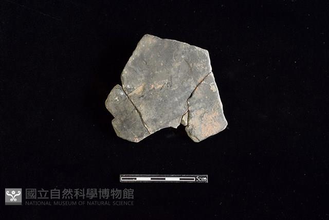 陶片藏品圖，第1張