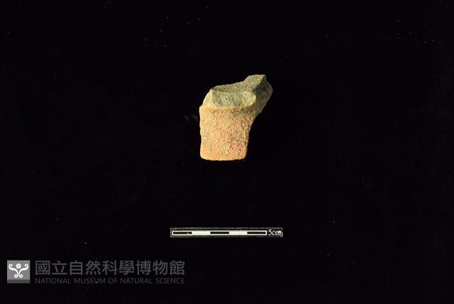 陶片藏品圖，第1張