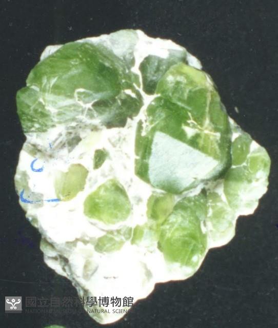 貴橄欖石藏品圖，第3張