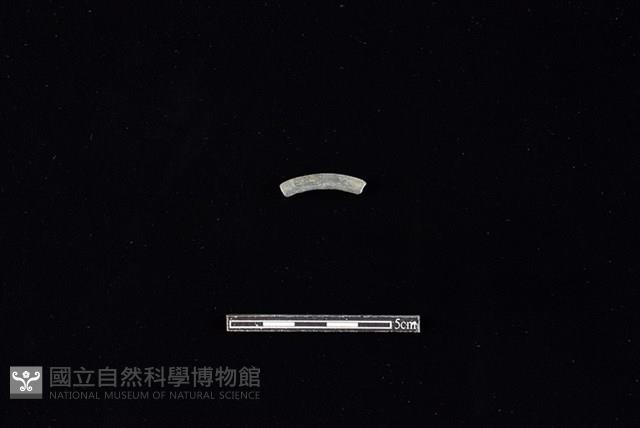 Accession Number:HLL-H PT0934 Collection Image, Figure 1, Total 2 Figures