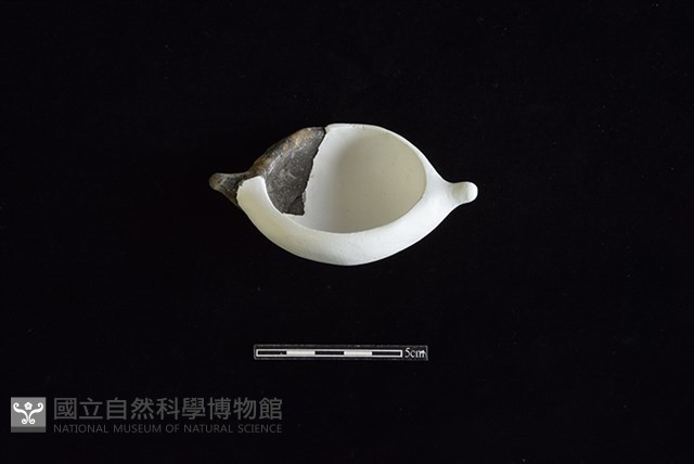 陶罐藏品圖，第1張