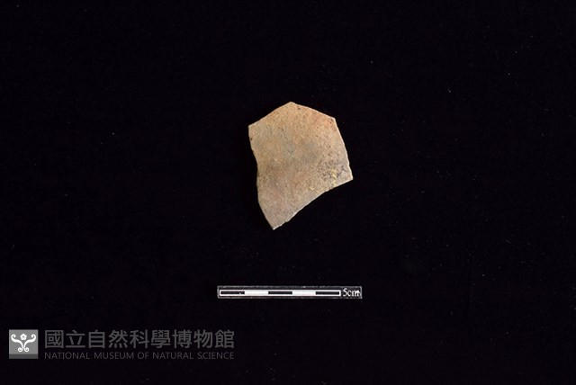 陶片藏品圖，第1張
