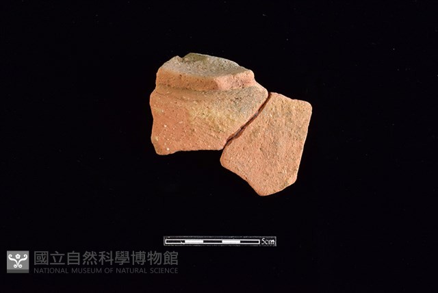 陶片藏品圖，第1張