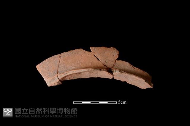 連杯形器藏品圖，第1張