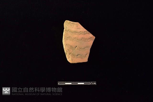 陶片藏品圖，第1張