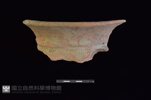 陶罐藏品圖，第1張