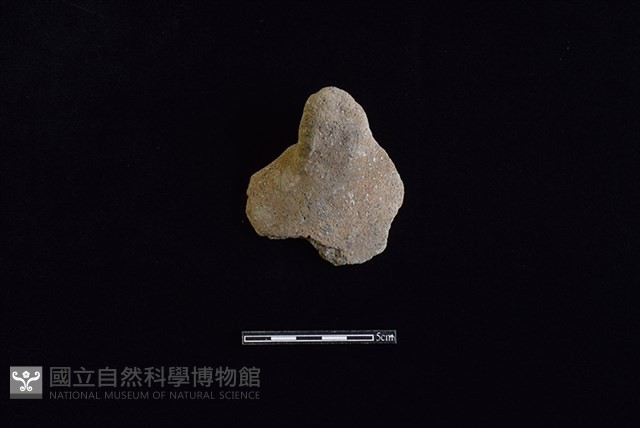 陶片藏品圖，第1張