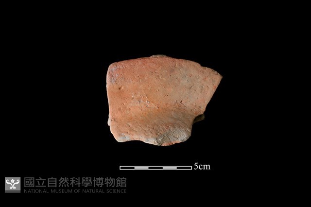 連杯形器藏品圖，第1張