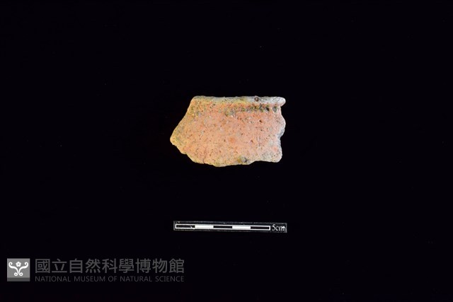 陶片藏品圖，第1張