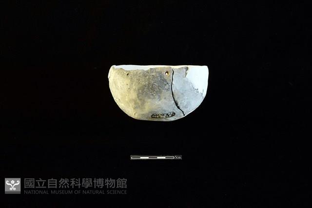 陶缽藏品圖，第1張