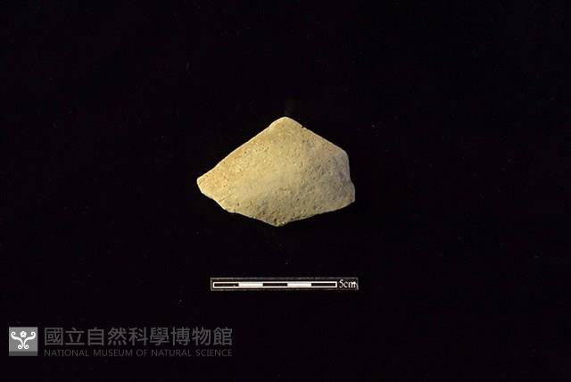 陶片藏品圖，第1張