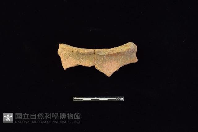 陶片藏品圖，第1張