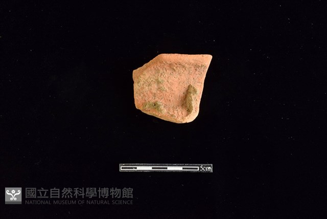 陶罐藏品圖，第1張