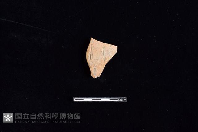 陶片藏品圖，第1張