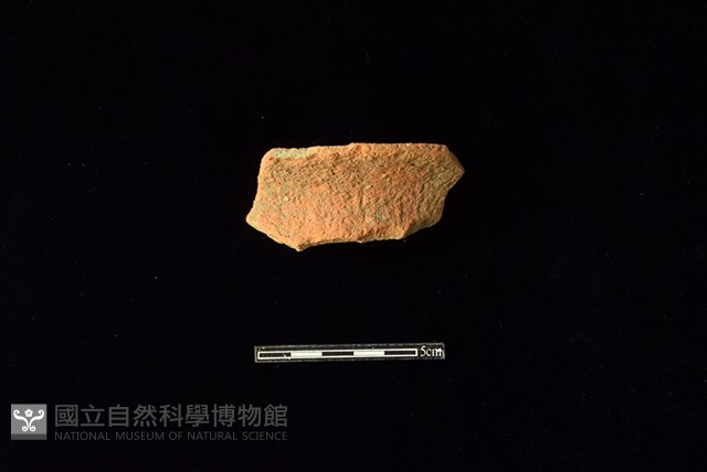 陶罐藏品圖，第1張