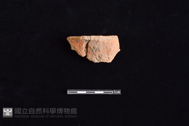 陶片藏品圖，第1張