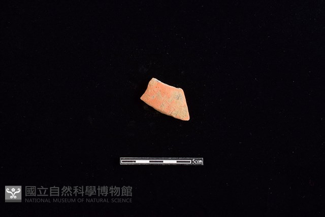 陶片藏品圖，第1張