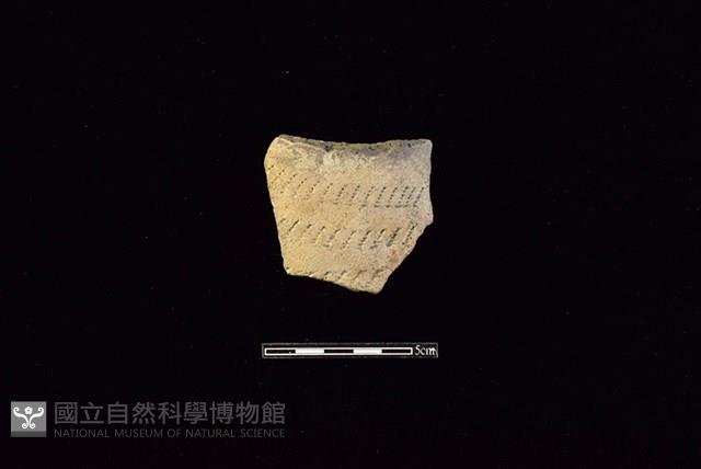 陶罐藏品圖，第1張