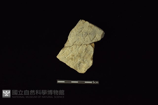 陶片藏品圖，第1張