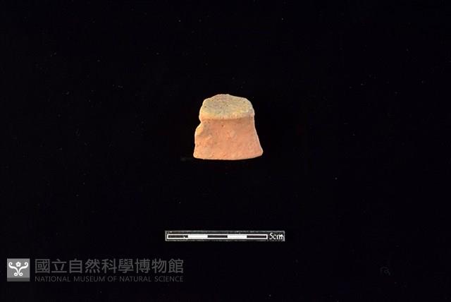 陶片藏品圖，第1張