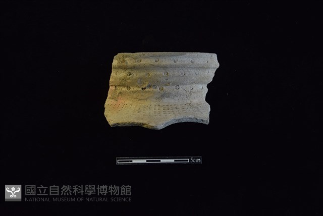 陶罐藏品圖，第1張