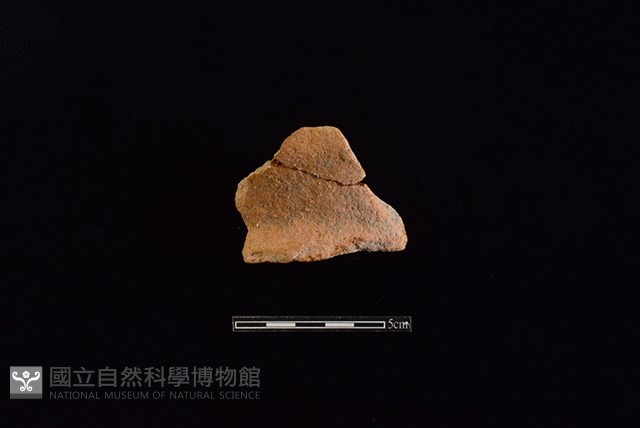 陶罐藏品圖，第1張