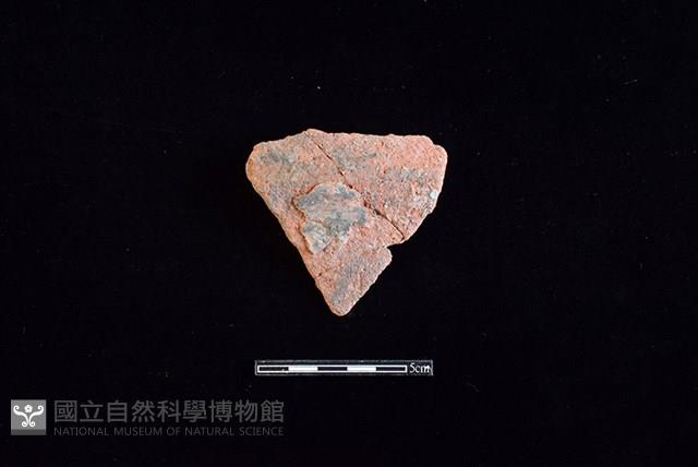 陶片藏品圖，第1張