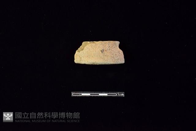 陶片藏品圖，第1張