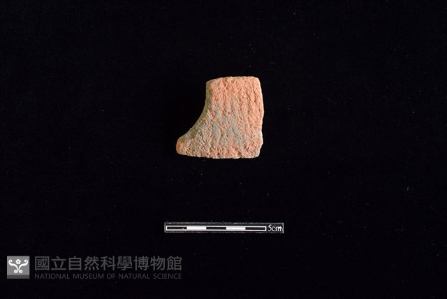 陶片藏品圖，第1張