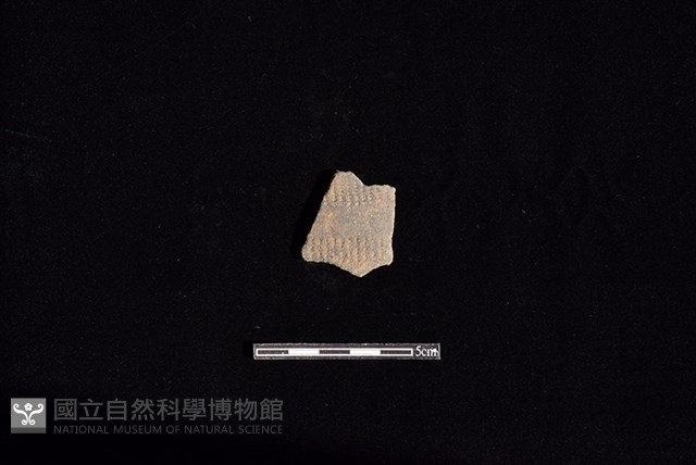 陶片藏品圖，第1張