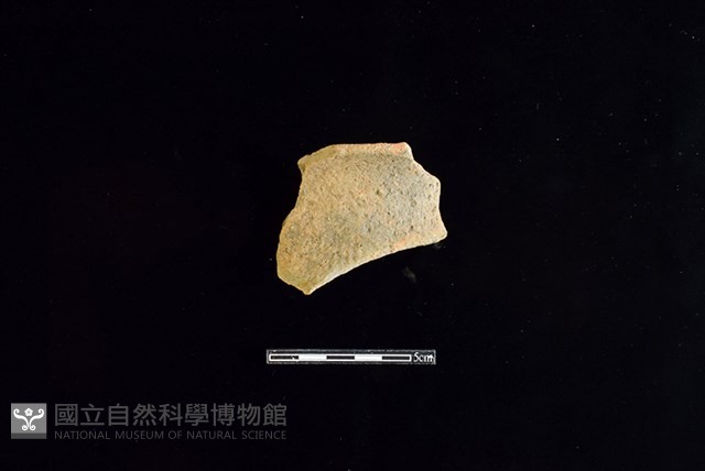 陶罐藏品圖，第1張
