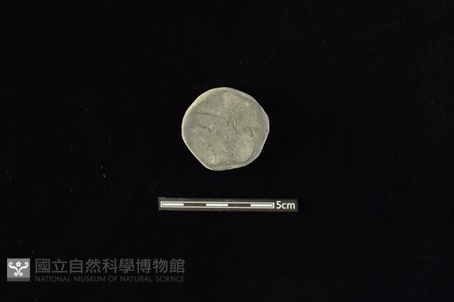 陶片藏品圖，第1張