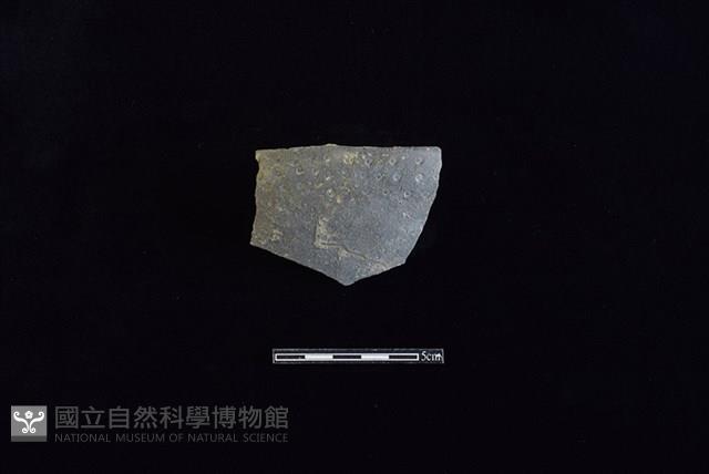 陶瓢藏品圖，第1張