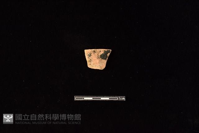 陶片藏品圖，第1張